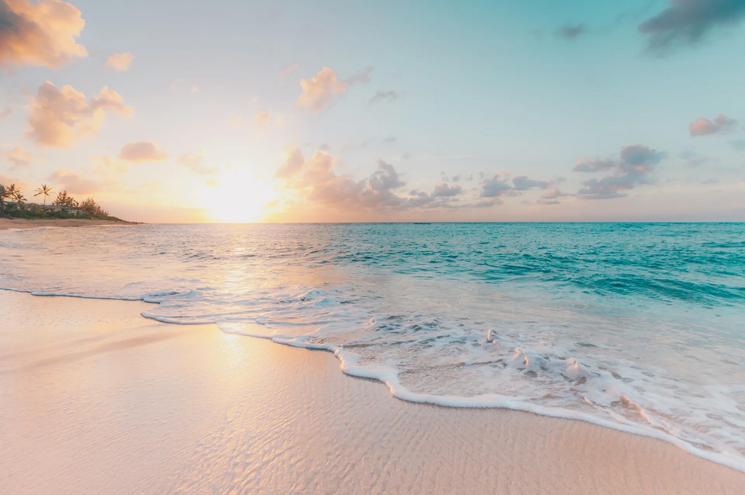Resilience Counseling and Wellness — practitioner in Houston, TX