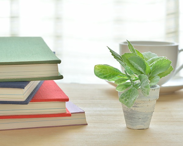 Stack of books with a plant therapy office in Texas