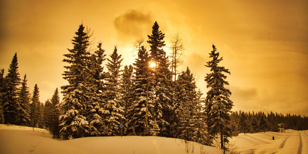 Reflect Don't Rush: Therapy and the Art of Ending Well houston texas