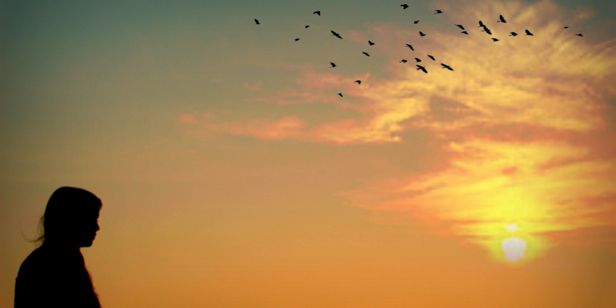 emotional change therapy houston tx